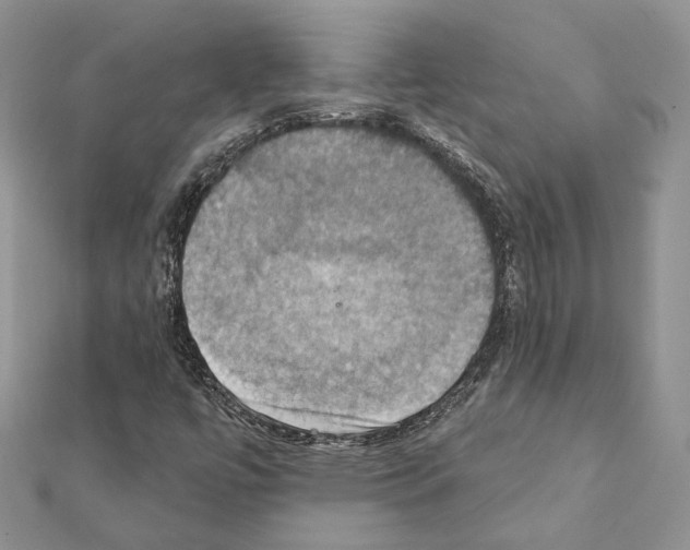 X0000111361447200908211246