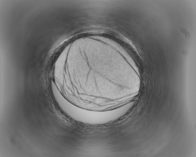 X0000111361448200908211246