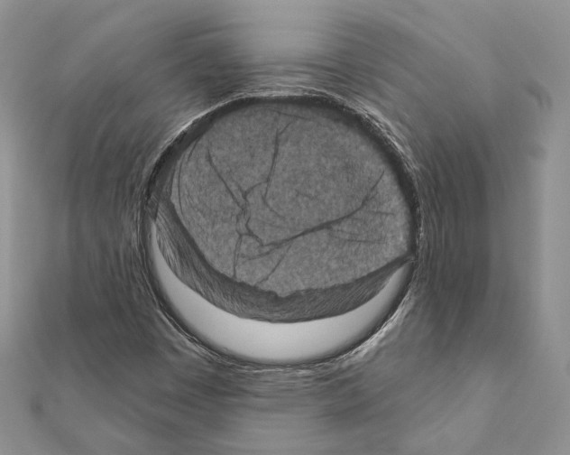 X0000111361449200908211246