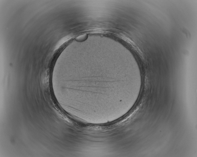 X0000111361450200908211246