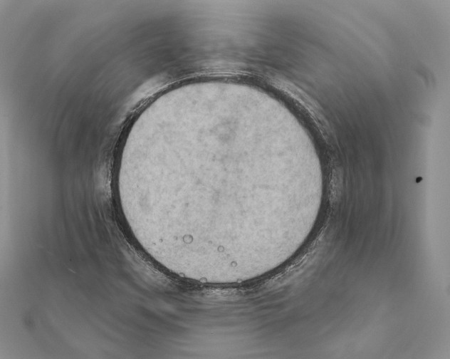 X0000111361451200908211246