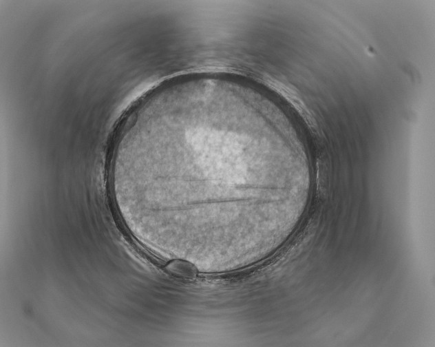 X0000111361452200908211246