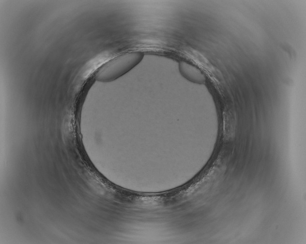 X0000111361453200908211246