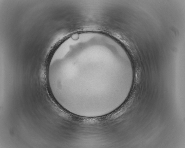 X0000111361454200908211246