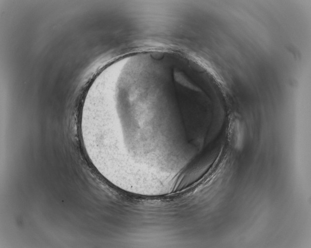 X0000111361455200908211246