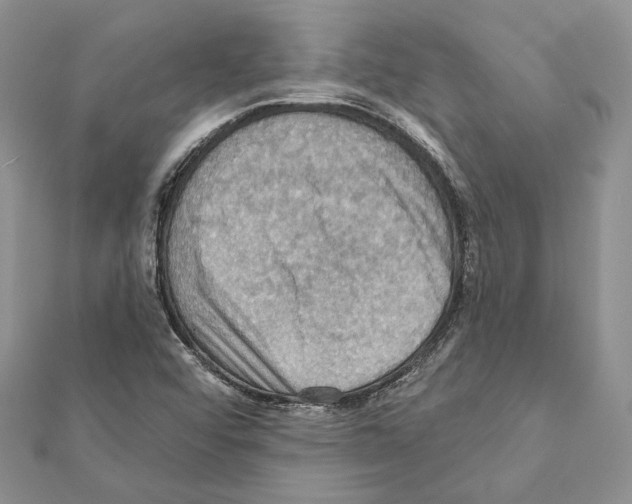 X0000111361456200908211246