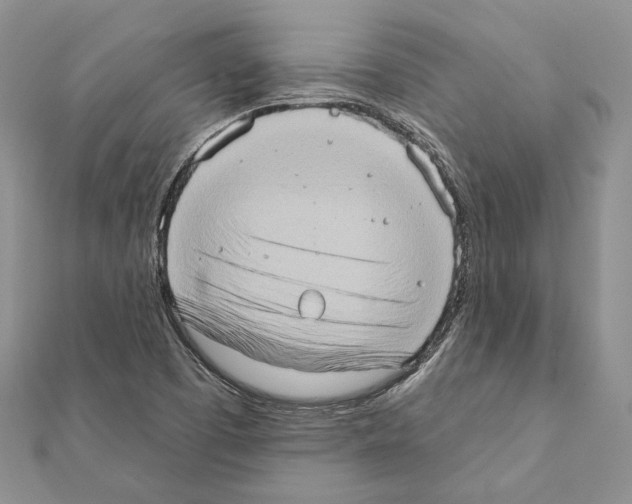 X0000111361457200908211246