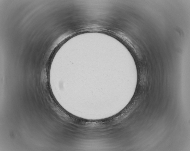 X0000111361458200908211246