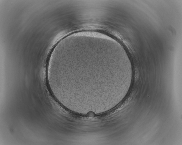 X0000111361459200908211246