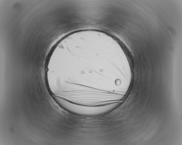 X0000111361460200908211245