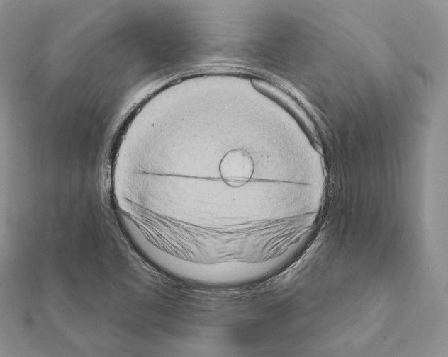 X0000111361461200908211245