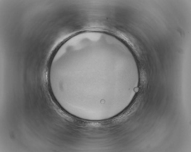 X0000111361462200908211245