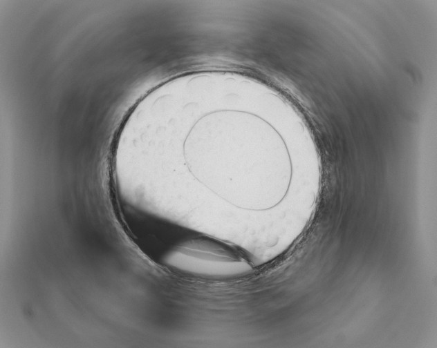 X0000111361463200908211245