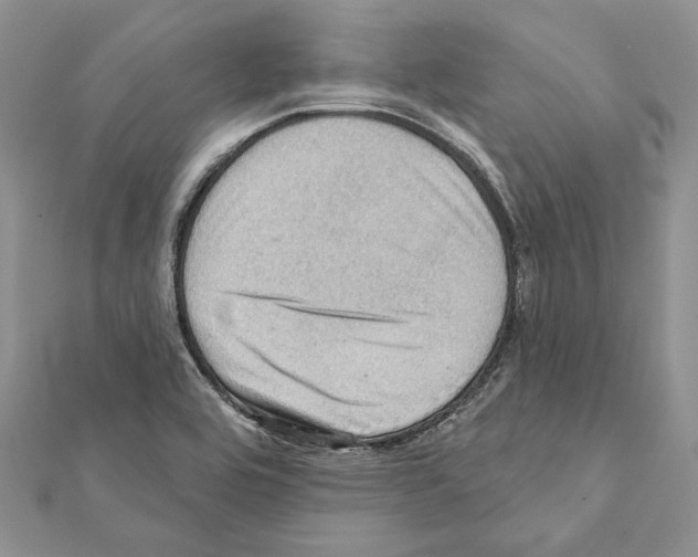 X0000111361464200908211245