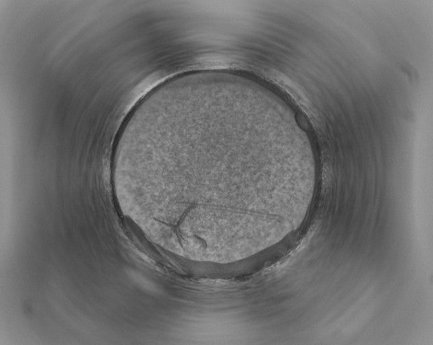 X0000111361465200908211245