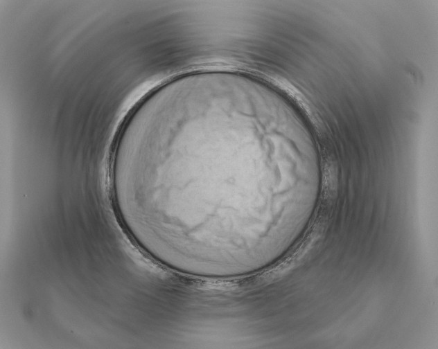 X0000111361466200908211245