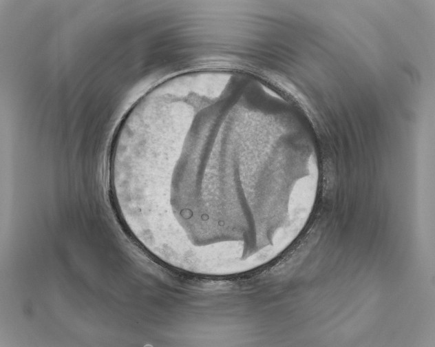 X0000111361467200908211245