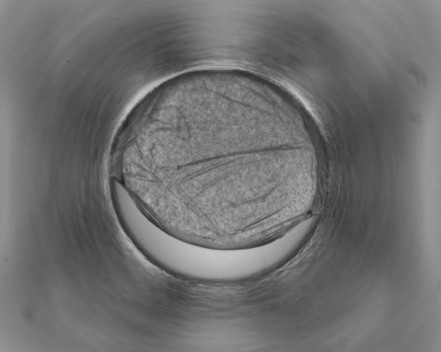 X0000111361468200908211245