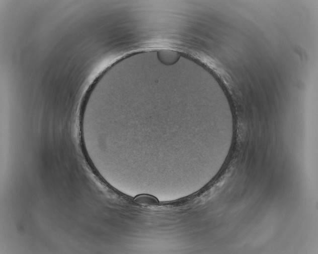 X0000111361469200908211245