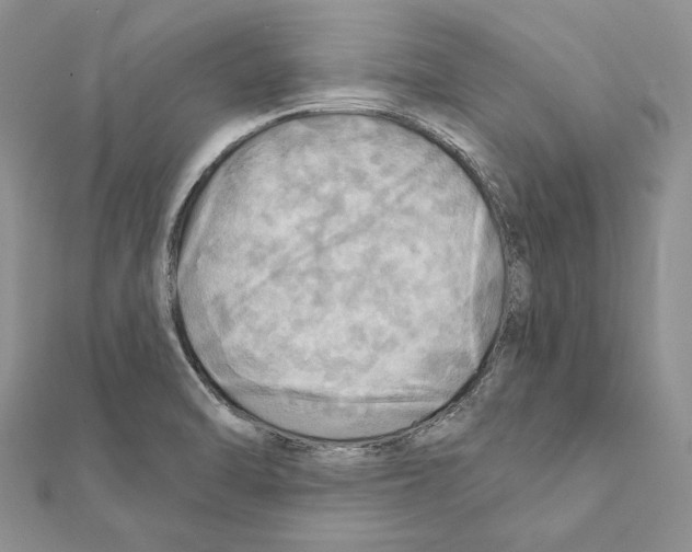 X0000111361470200908211245