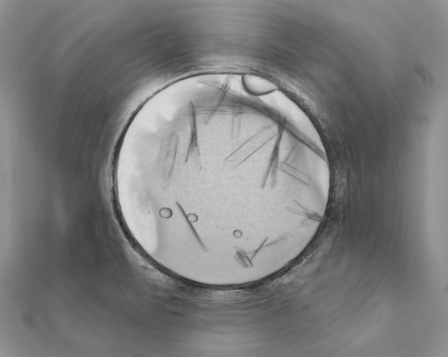 X0000111361471200908211245