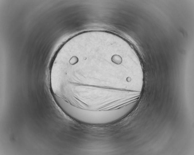 X0000111361472200908211245