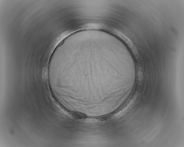 X0000111361473200908211245