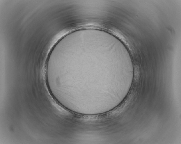 X0000111361474200908211245