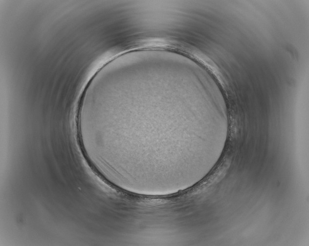 X0000111361475200908211245