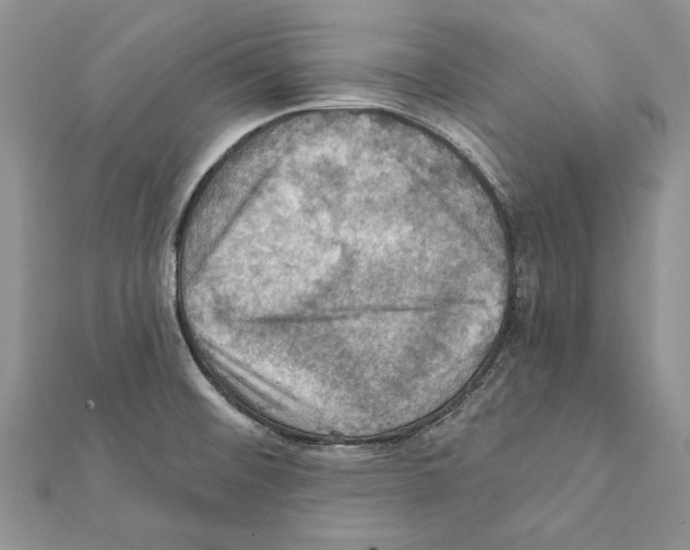 X0000111361476200908211245