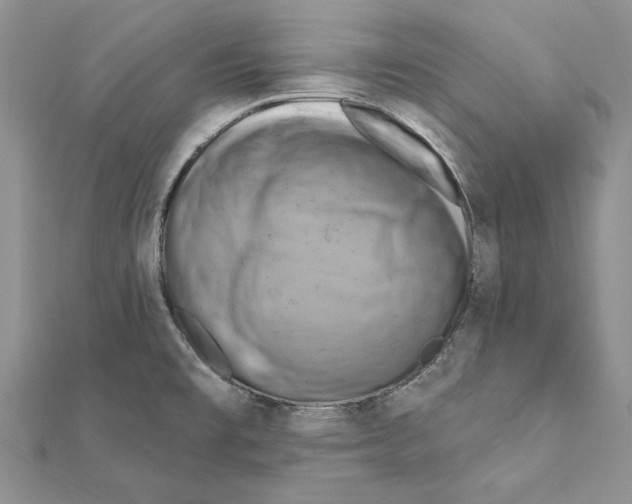 X0000111361477200908211245