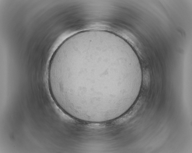 X0000111361478200908211245