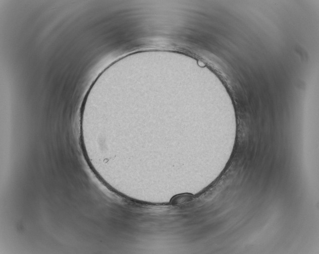 X0000111361479200908211245