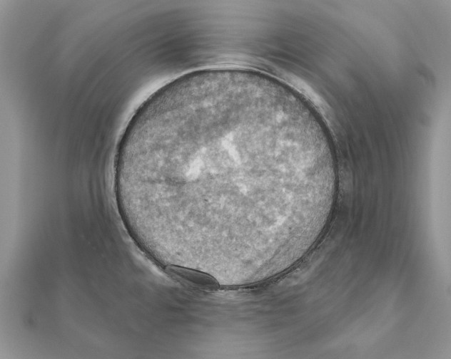 X0000111361480200908211245