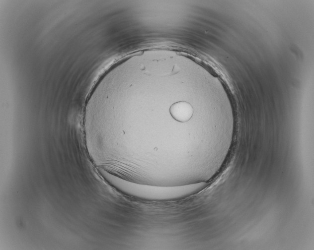 X0000111361481200908211245