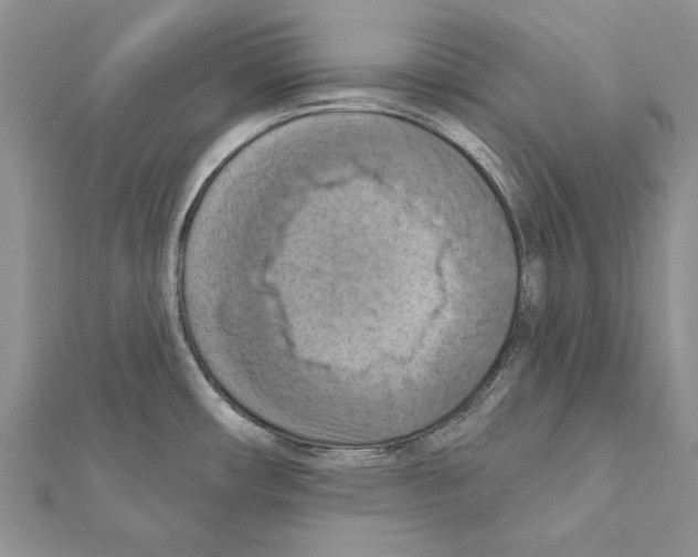 X0000111361482200908211245