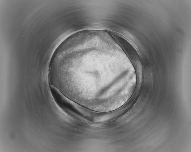 X0000111361484200908211245