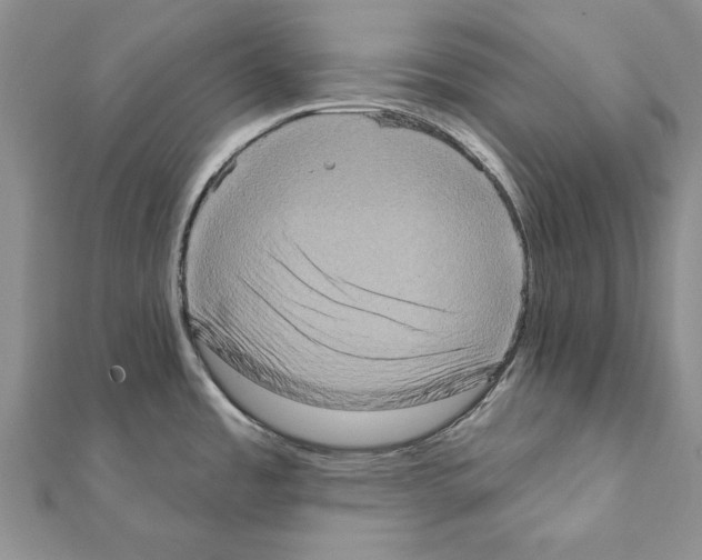 X0000111361485200908211245