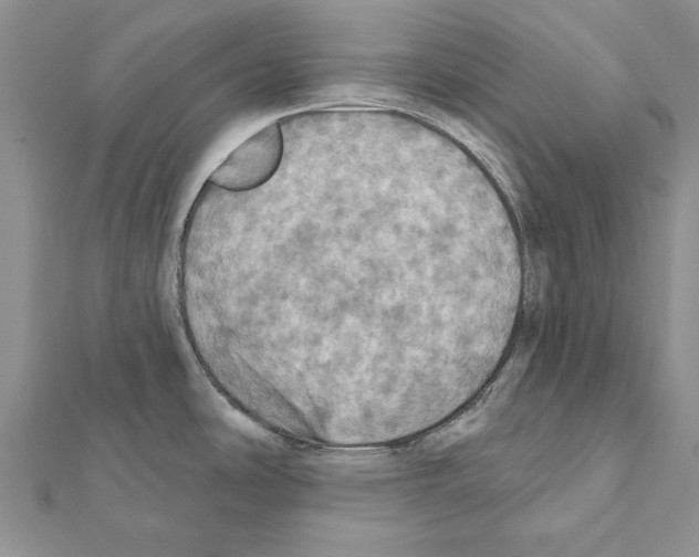 X0000111361486200908211245