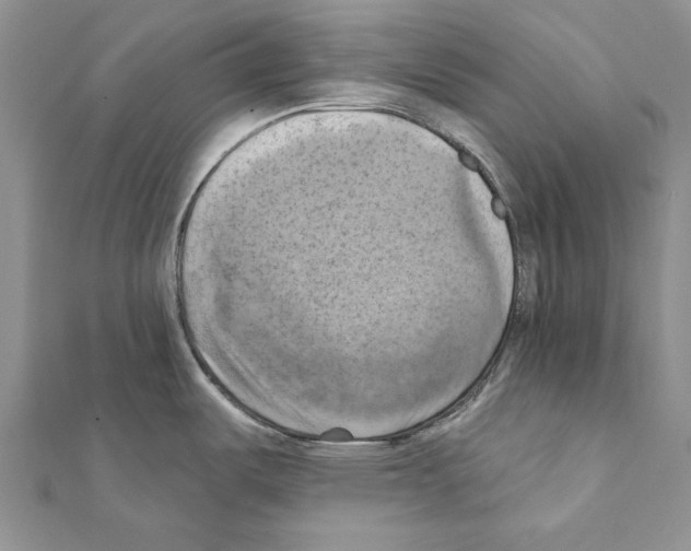 X0000111361487200908211245