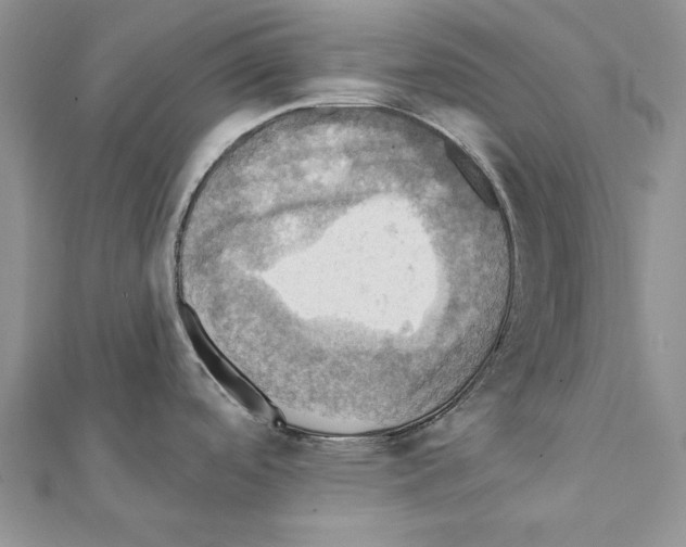 X0000111361488200908211245