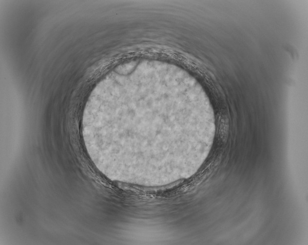 X0000111361489200908211244