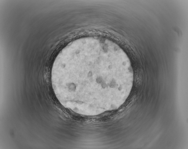 X0000111361490200908211244