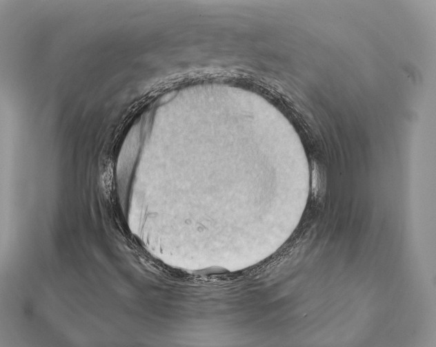 X0000111361492200908211244