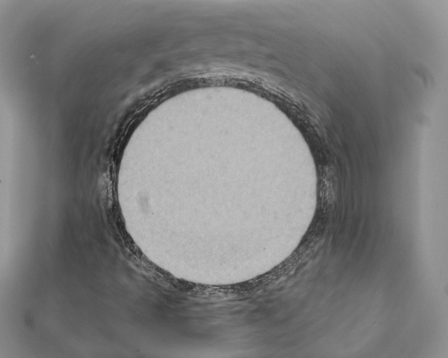 X0000111361493200908211244