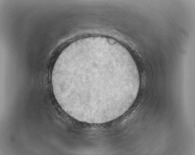 X0000111361494200908211244