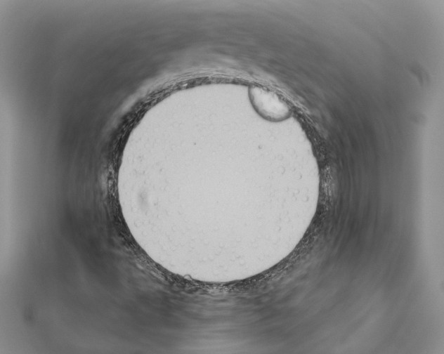 X0000111361495200908211244