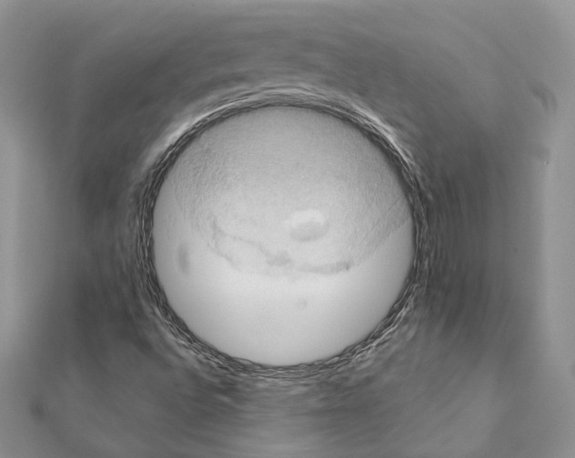 X0000111361496200908211244