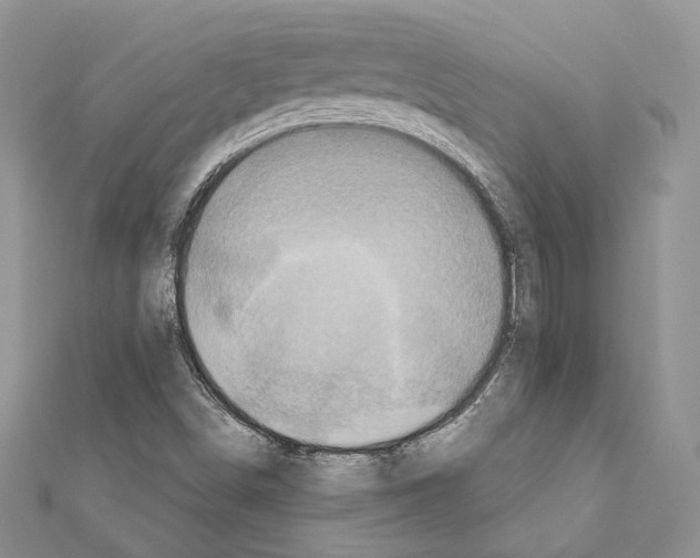 X0000111361498200908211244