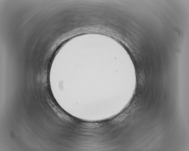 X0000111361499200908211244